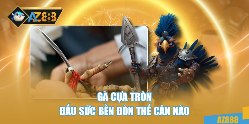 Đá Gà 88 – Giải Trí Đỉnh Cao, Cá Cược Đậm Chất Máu Lửa 4 Gà cựa tròn đấu sức bền đòn thế cân não