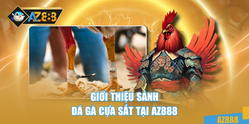 Giới thiệu sảnh đá gà cựa sắt tại AZ888
