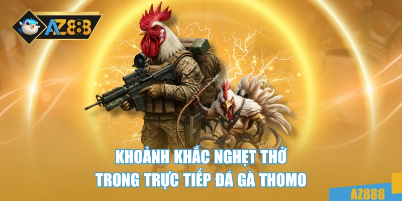 Trực Tiếp Đá Gà Thomo – Đỉnh Cao Giải Trí Và Cá Cược Hấp Dẫn 4 Khoảnh khắc nghẹt thở trong trực tiếp đá gà Thomo